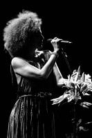 Lichter und Schatten einer Sängerin