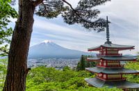 Temple avec mt. Fuji - Japon