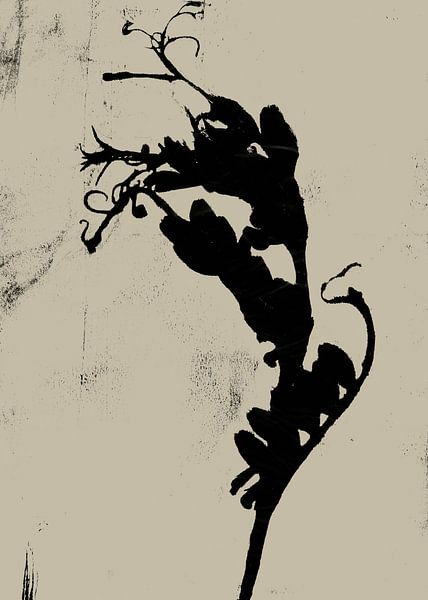 Abstract botanisch. Plant in zwart op wit. van Dina Dankers