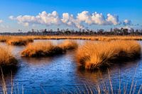 Eingefrorene Drillinge