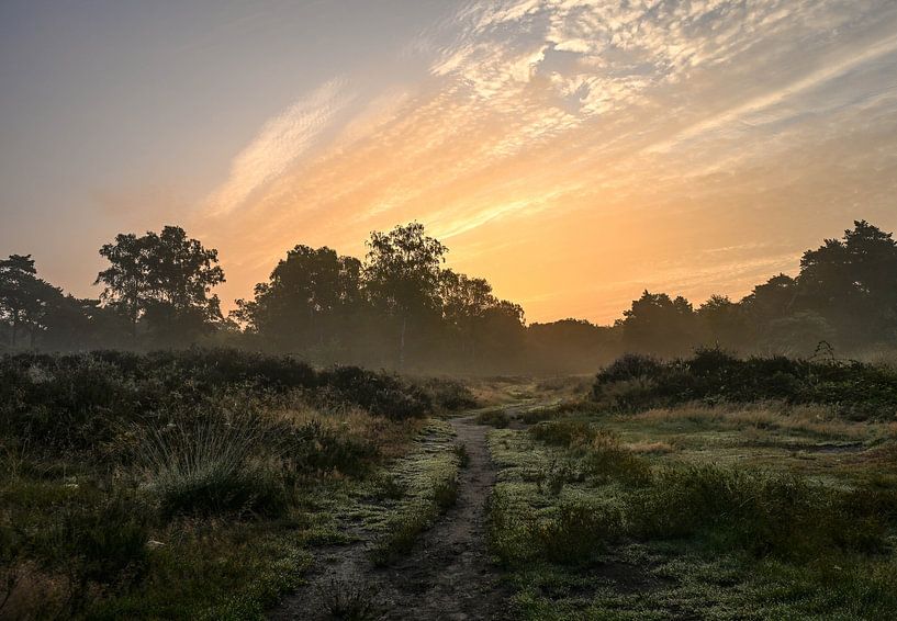 Wolfhezerheide partie 129 par Tania Perneel