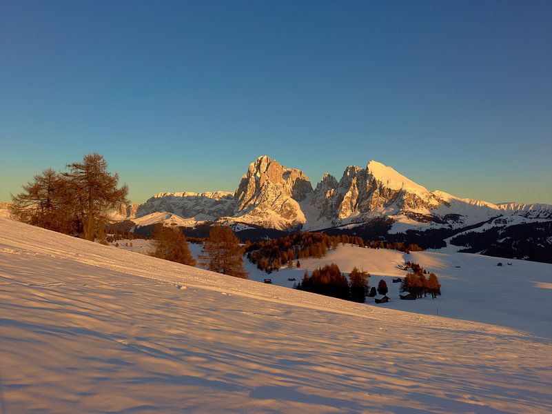 Seiser Alm mit Langkofel und Plattkofel, Dolomiten von Ralph Rainer Steffens