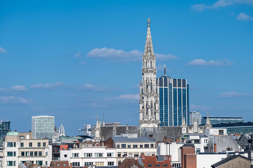 Panorama over Brussels' old town by Werner Lerooy