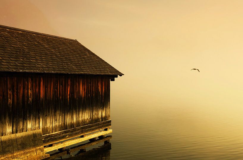 Boathouse sunset by Frank Herrmann