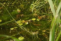 Gezellig met z'n alle