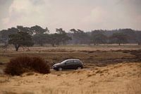 Auto auf der Veluwe