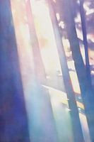 Schaduwen op de muur nr. 4