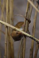 le monde à l'envers