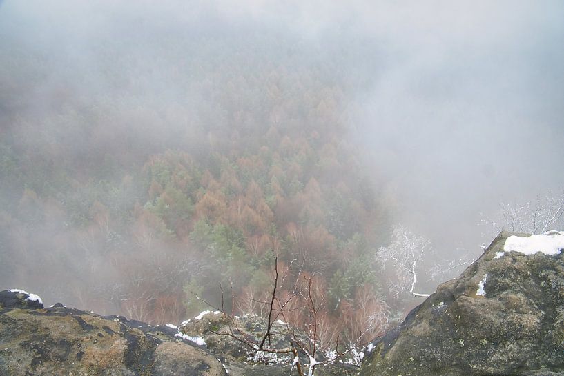 Forest in the fog in the Elbe Sandstone Mountains by Martin Köbsch