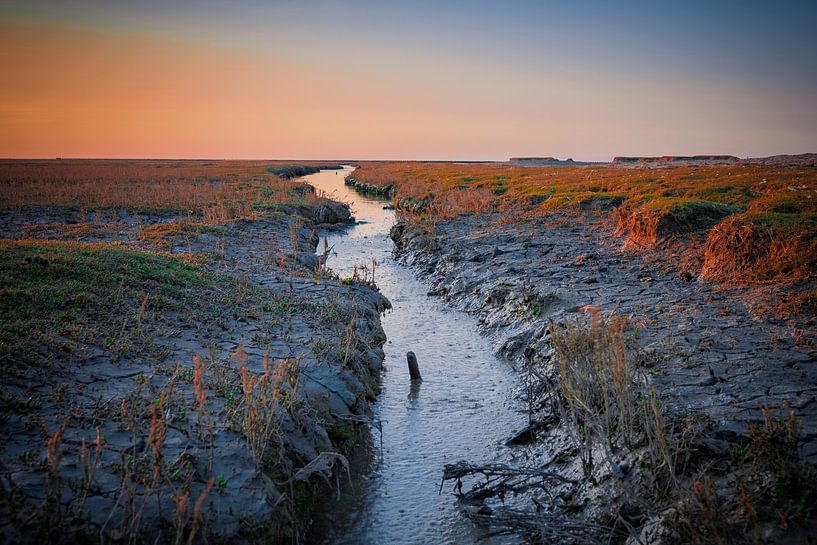 Les vasières par Johan Mooibroek