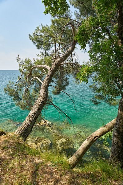 Küste der Adria bei Porec von Heiko Kueverling