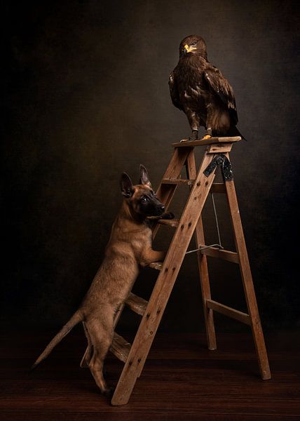 Ungewöhnliche Freunde von Aisa Joosten