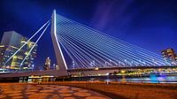 Pont Erasmus bluehour 