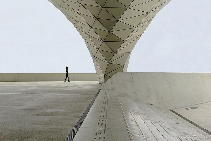 Musée des Confluences Détail par Patrick Lohmüller