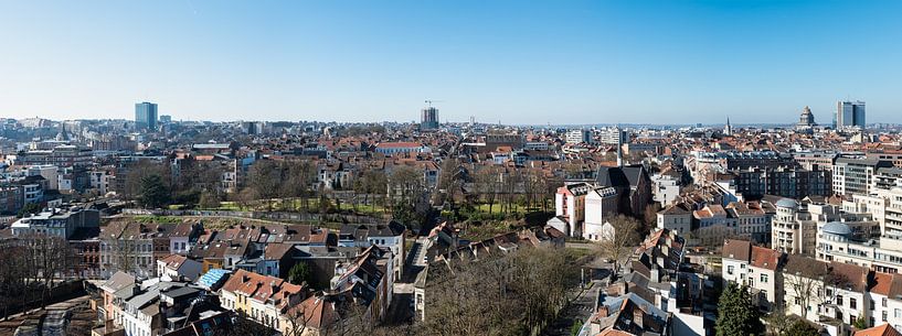 High angle view of the Brussels skyline van Werner Lerooy
