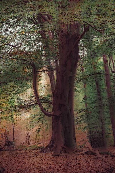 Renkums Beekdal Teil 17 von Tania Perneel