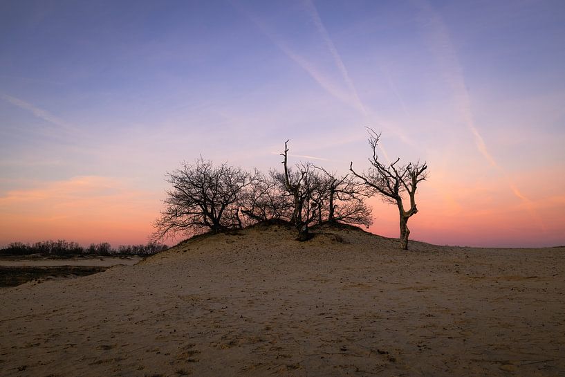 Pastellfarben in den Dünen von Drunense von Zwoele Plaatjes