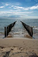 Poleheads on the coast near Zoutelande