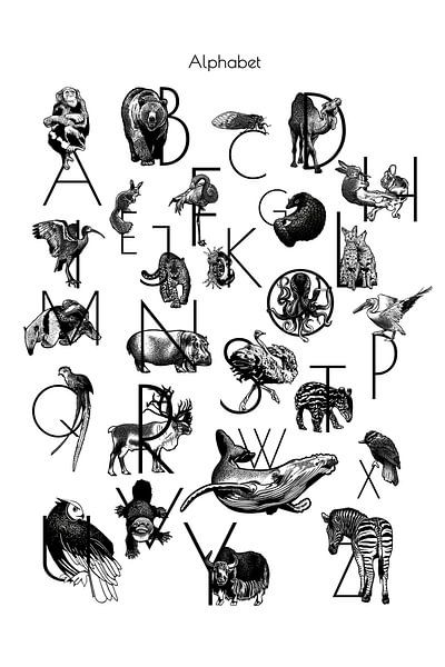 Alphabet Animals | Zwart Wit | Illustratie by Jansje Kamphuis