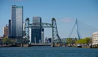 Le pont Hef et Erasmus à Rotterdam