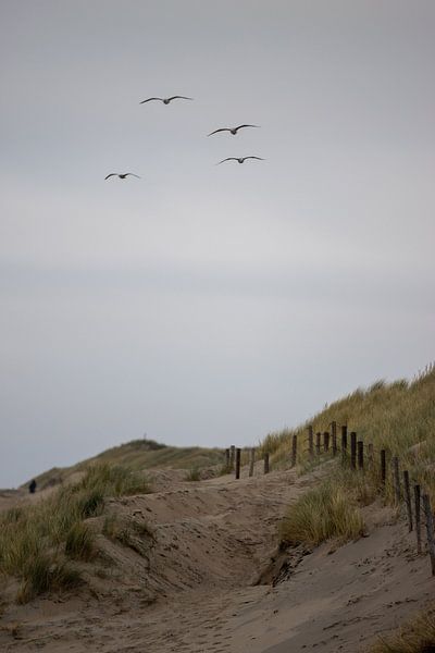 der Sommer ist vorbei von Sebastian Stef