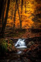 Chute d'eau dans une scène d'automne
