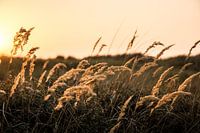 Zonsondergang aan de kust