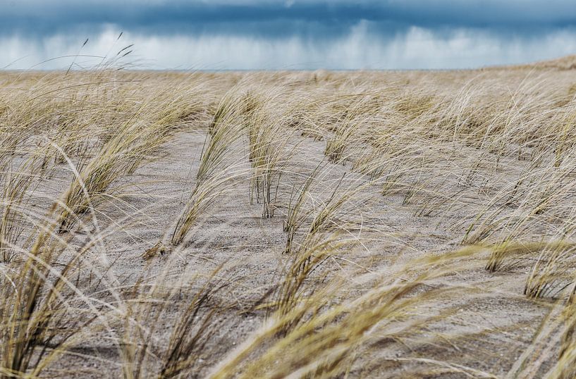 Strand by Adriaan Westra