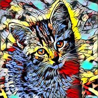 Color Kick Animal - Kitten
