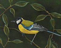 Große Meise Malerei