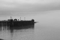 Nebliger Hafen von Valdez in Alaska