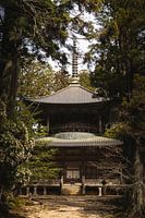 Temple in the forest, Japan
