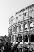Colosseum Rome