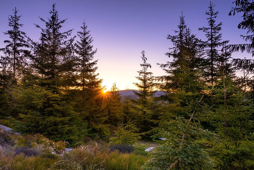 Brockenblick von Steffen Henze