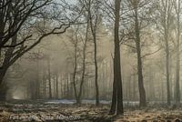 L'hiver à la campagne