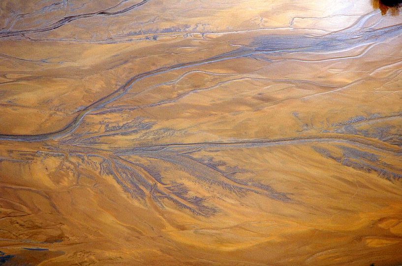 Esche von Patrick Henderyckx