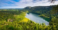 Lac de Bonlieu im französischen Jura