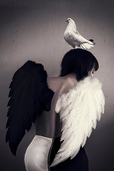 Image manipulation of Partially Fallen Angel - Symbolic Artwork for Your Interior by Elianne van Turennout
