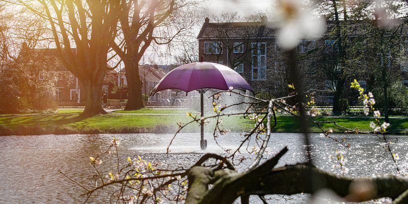 Julianapark in Leeuwarden par Steven Otter
