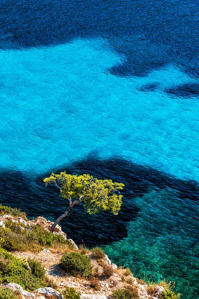 Calanque de Sormiou im Nationalpark Calanque in Frankreich im Sommer. von Daniel Pahmeier