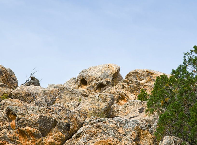 Wächter der Berge von Erna Kampman