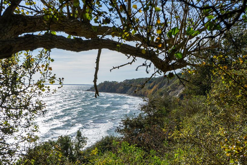 View of the fishing village of Vitt at Cape Arkona on Rügen on the Baltic Sea by Animaflora PicsStock
