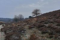 Landschaft bei der Posbank