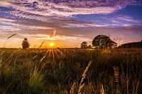 Sonnenuntergang über dem Dwingelderveld-Nationalpark