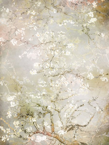 Dreamy nature by Evavisser