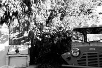 Toutou's Bar Brigitte La Madrague