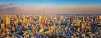 Tokyo Panorama