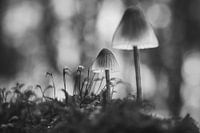 Lumière minimaliste dans le silence