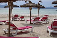 Beach chairs on the beach