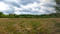 Threatening skies in the Drents-Friese Wold moorland